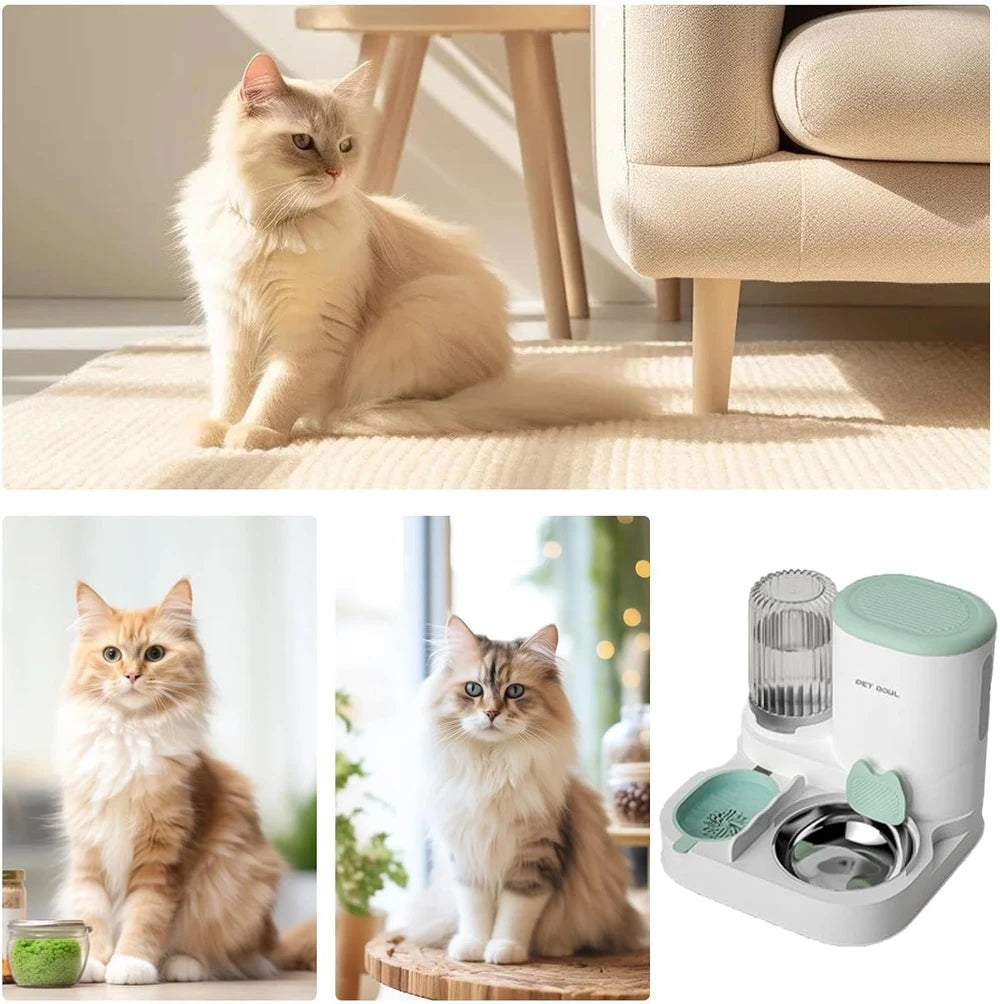 Distributore di cibo e acqua per animali domestici